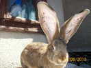 Picture 043