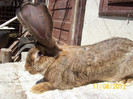 Picture 056