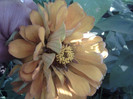 Fotografii-0278
