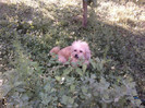 Fotografii-0316