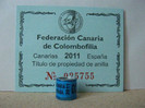 F. CANARIA C.C.ESPANA 2011