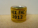 MEX FMC 2012