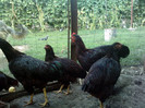 P120812_13.320006