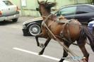images (10)