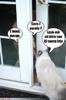 images (12)