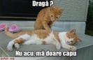 images (15)