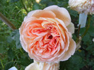Abraham Darby