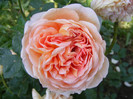 Abraham Darby