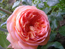 Abraham Darby