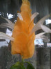 2012-07-16 20.15.27