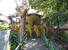 DSCF2460
