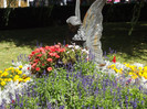 DSCF2469