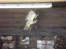 DSCF2476