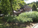 DSCF2483