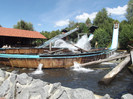 DSCF2496