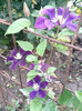 Photo0479