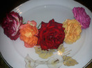 Photo0510