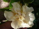 P1170131