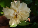 P1170132
