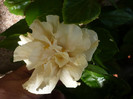 P1170133