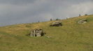 IMGA0316