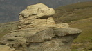 IMGA0350