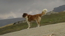 IMGA0356