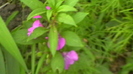 IMGA0145