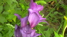 IMGA0148