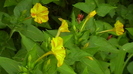 IMGA0149