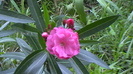 IMGA0151