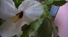 IMGA0157