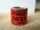 URUGUAY 2012