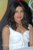 priyanka_chopra_latest_photos_pictures_stills_12