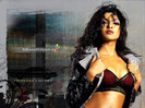 Priyanka-Chopra-Wallpaper-004