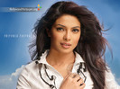 Priyanka-Chopra-Wallpaper-008