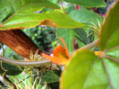 DSC09098