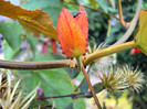 DSC09101