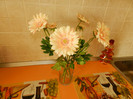 DSCN8859