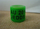 AU 2010 JEDDS