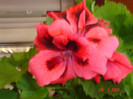 DSC00893