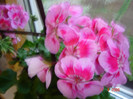 DSC00912