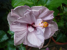 P1170135