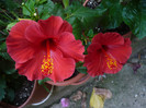 P1170136