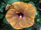 P1170140