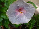 P1170141