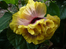 P1170142