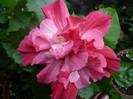 P1170154
