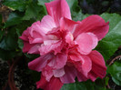 P1170155