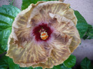 P1170157